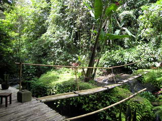 Brug over de rivier