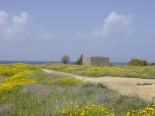 De opgravingen in Paphos