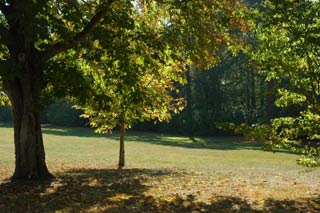 Tuin bij kasteel Chaumont