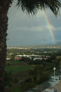 Regenboog