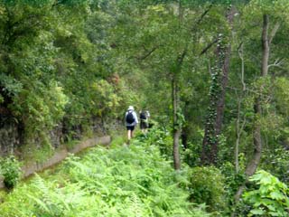 Levada