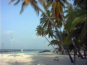 Eydafushi