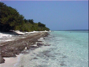 Kunfunadhoo